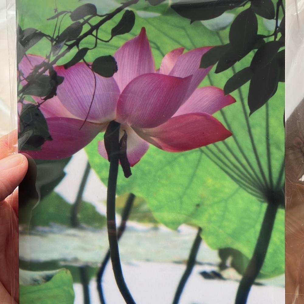 NEW in packaging Original Metal Art prints bundle of 2 “5X7 "  photo of W…